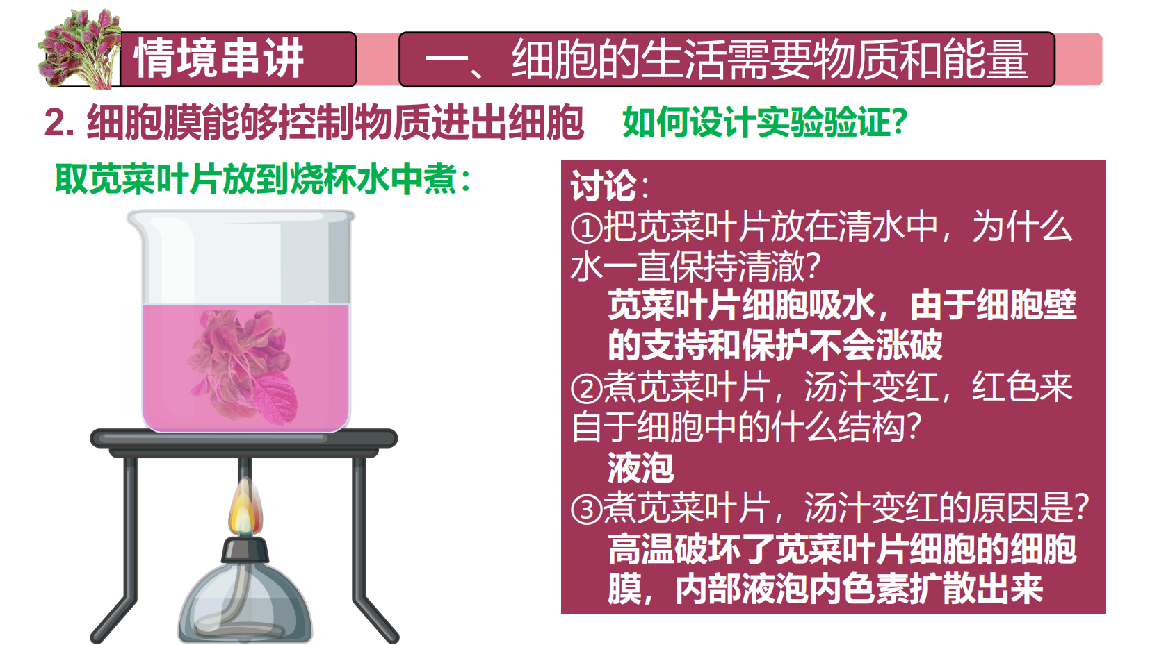 预览图 9