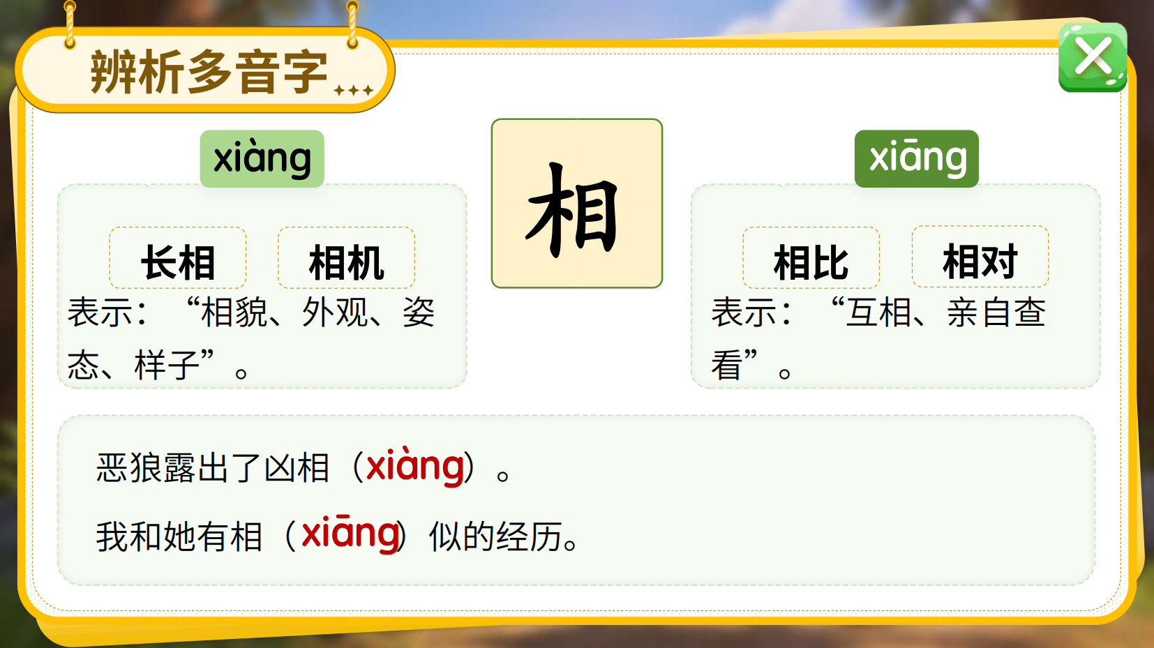 预览图 9