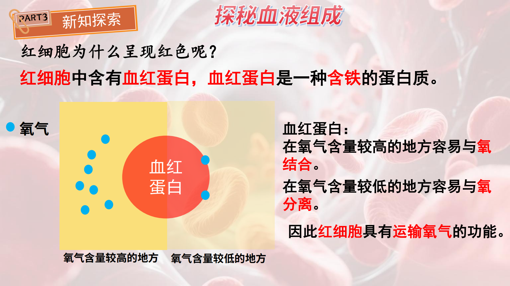 预览图 15