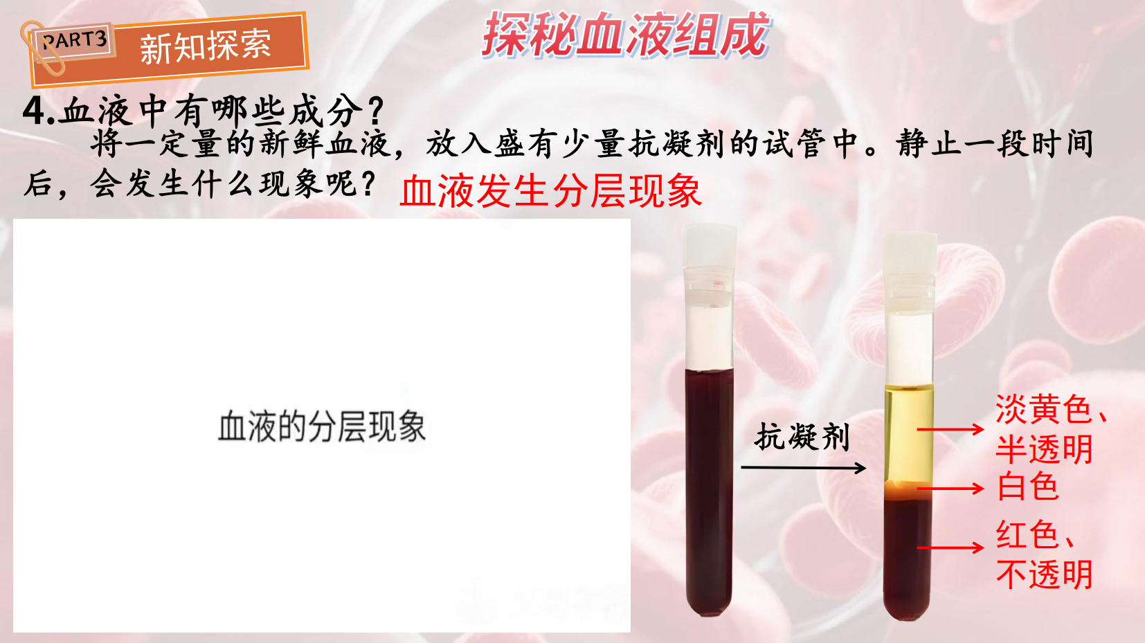 预览图 8