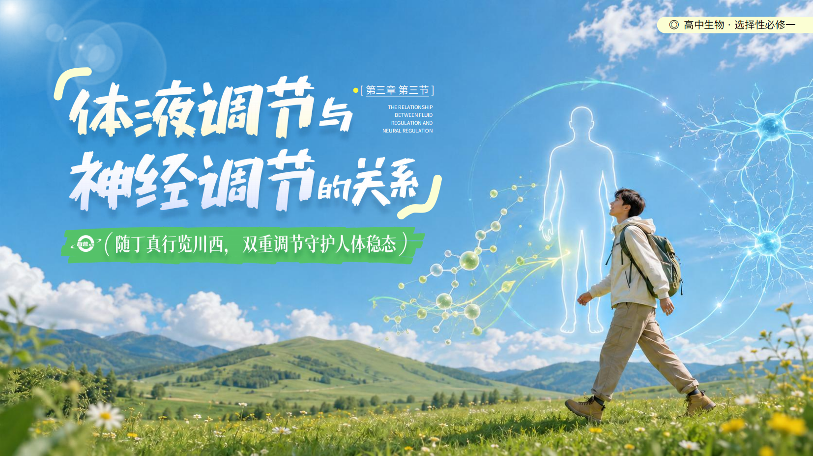 预览图 1