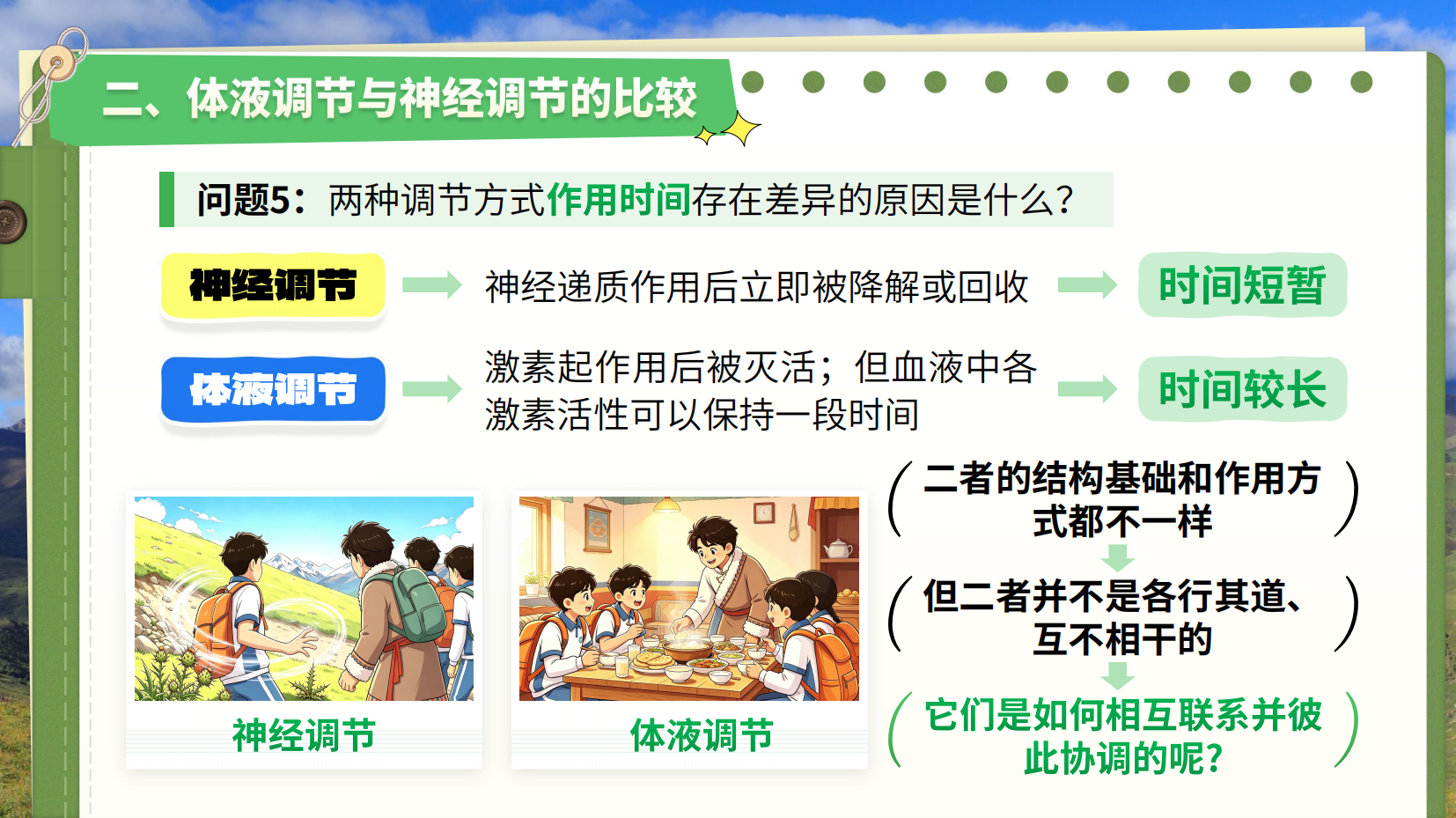 预览图 10
