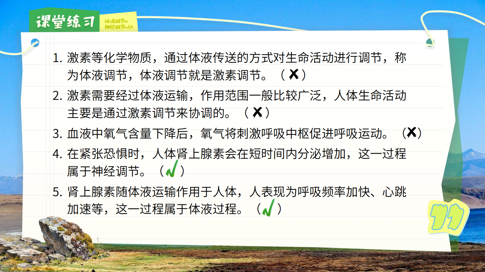 预览图 11