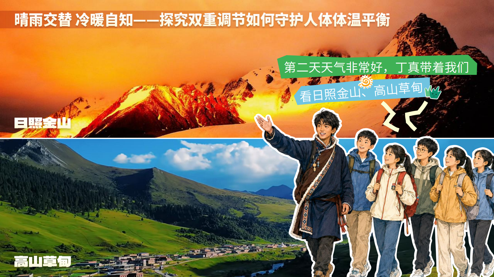 预览图 12