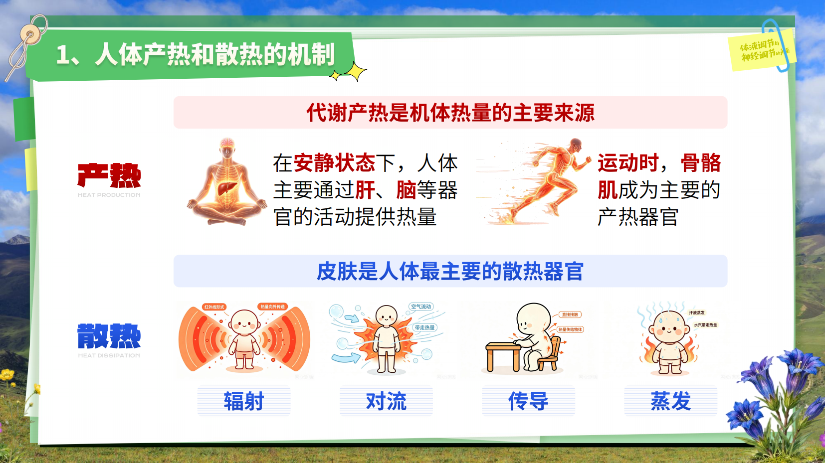 预览图 15