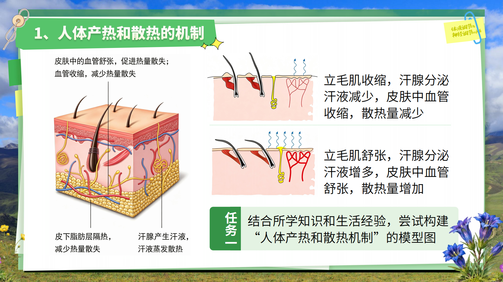 预览图 16