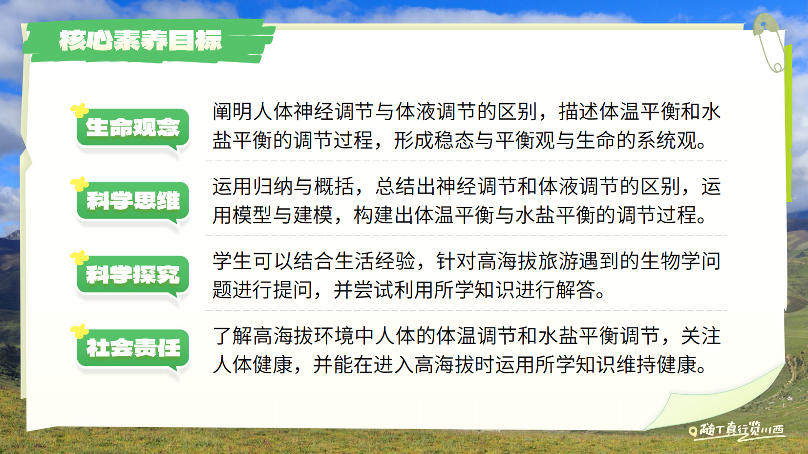 预览图 2