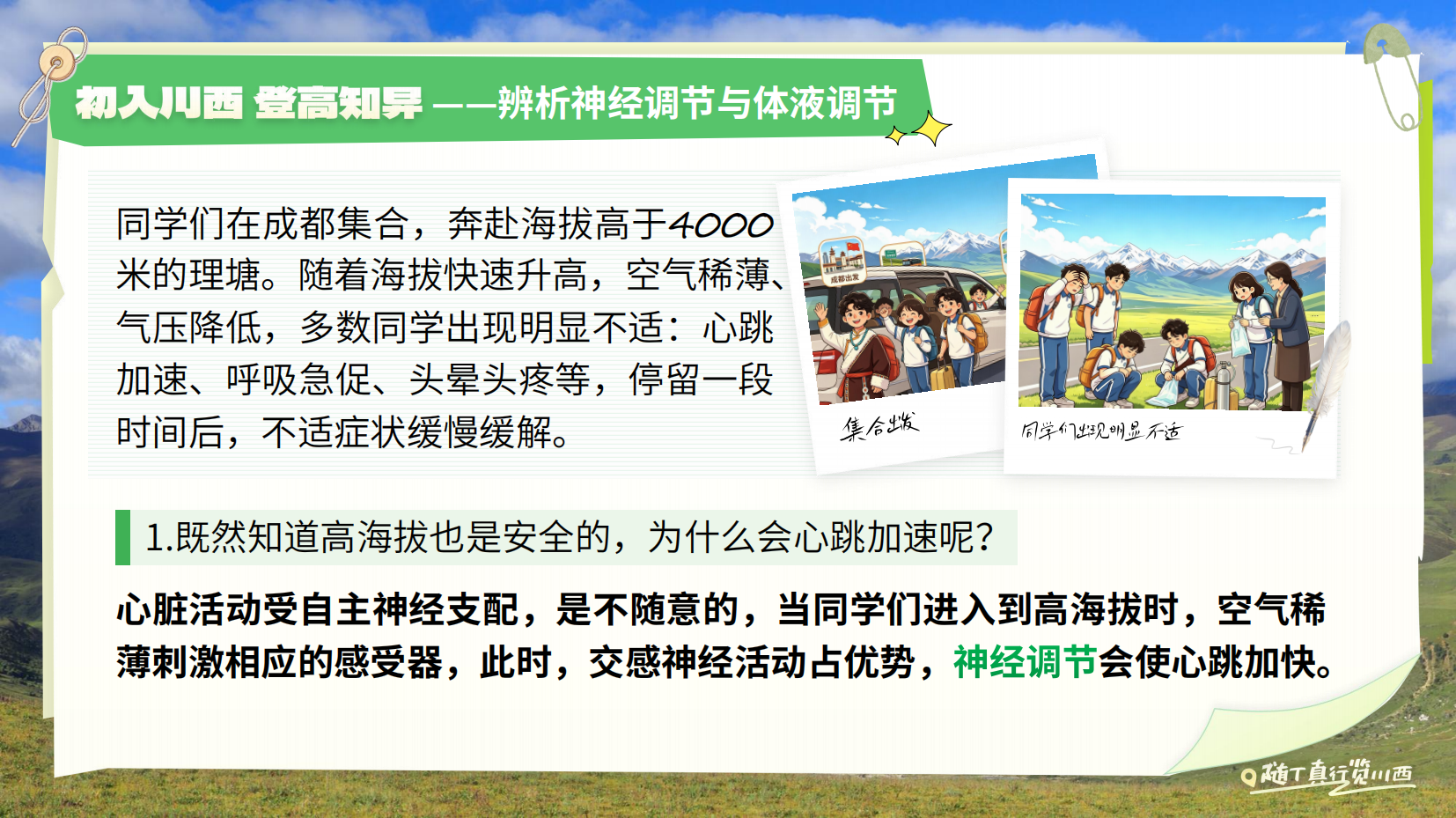 预览图 4