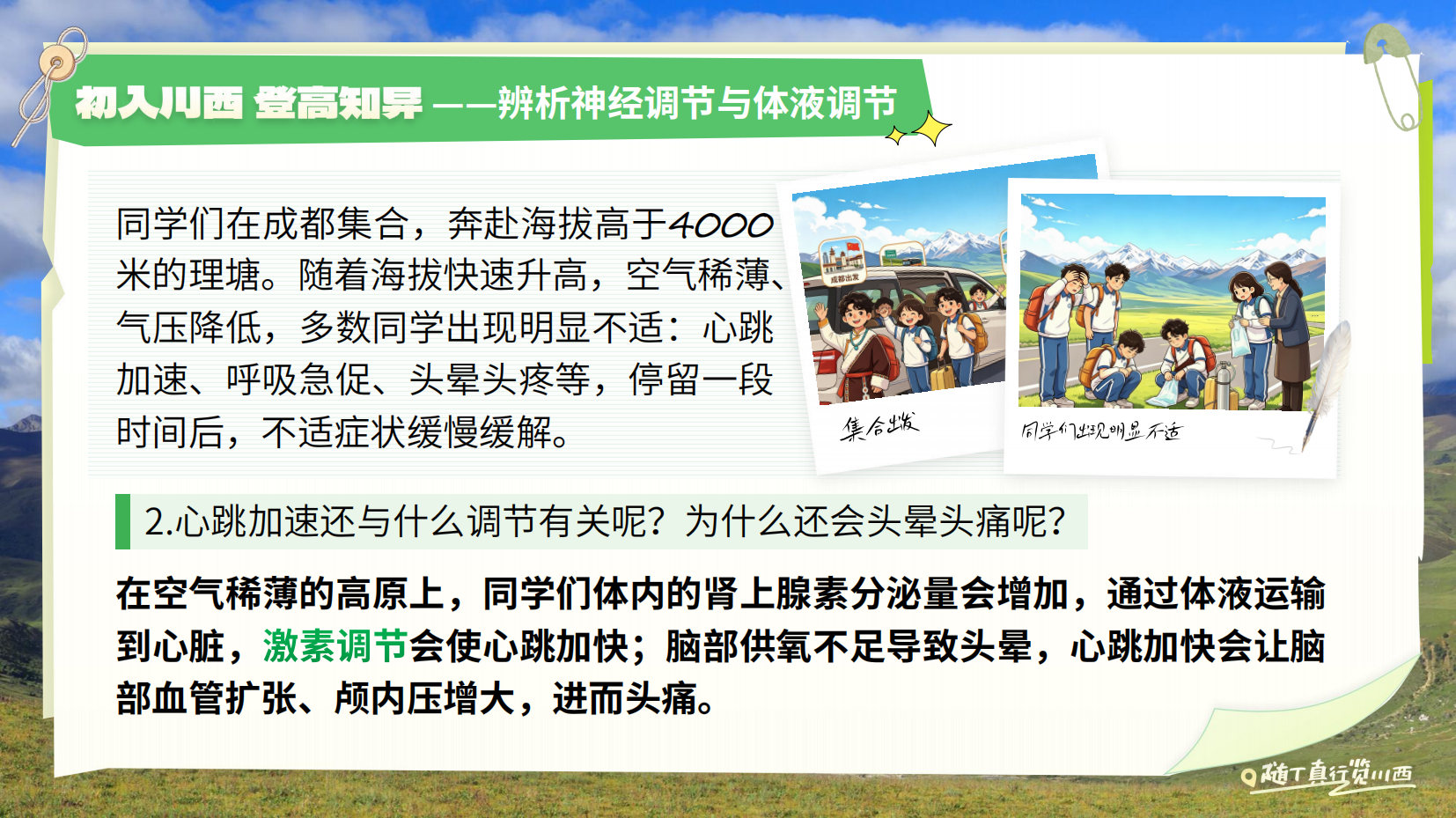 预览图 5