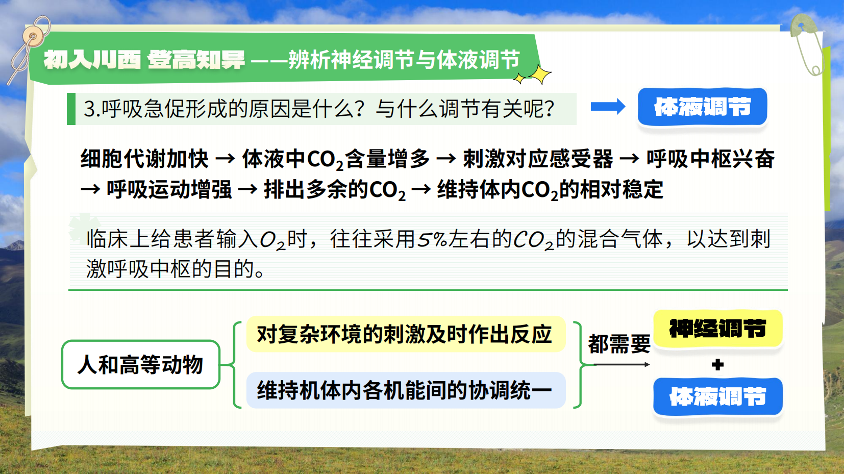 预览图 6