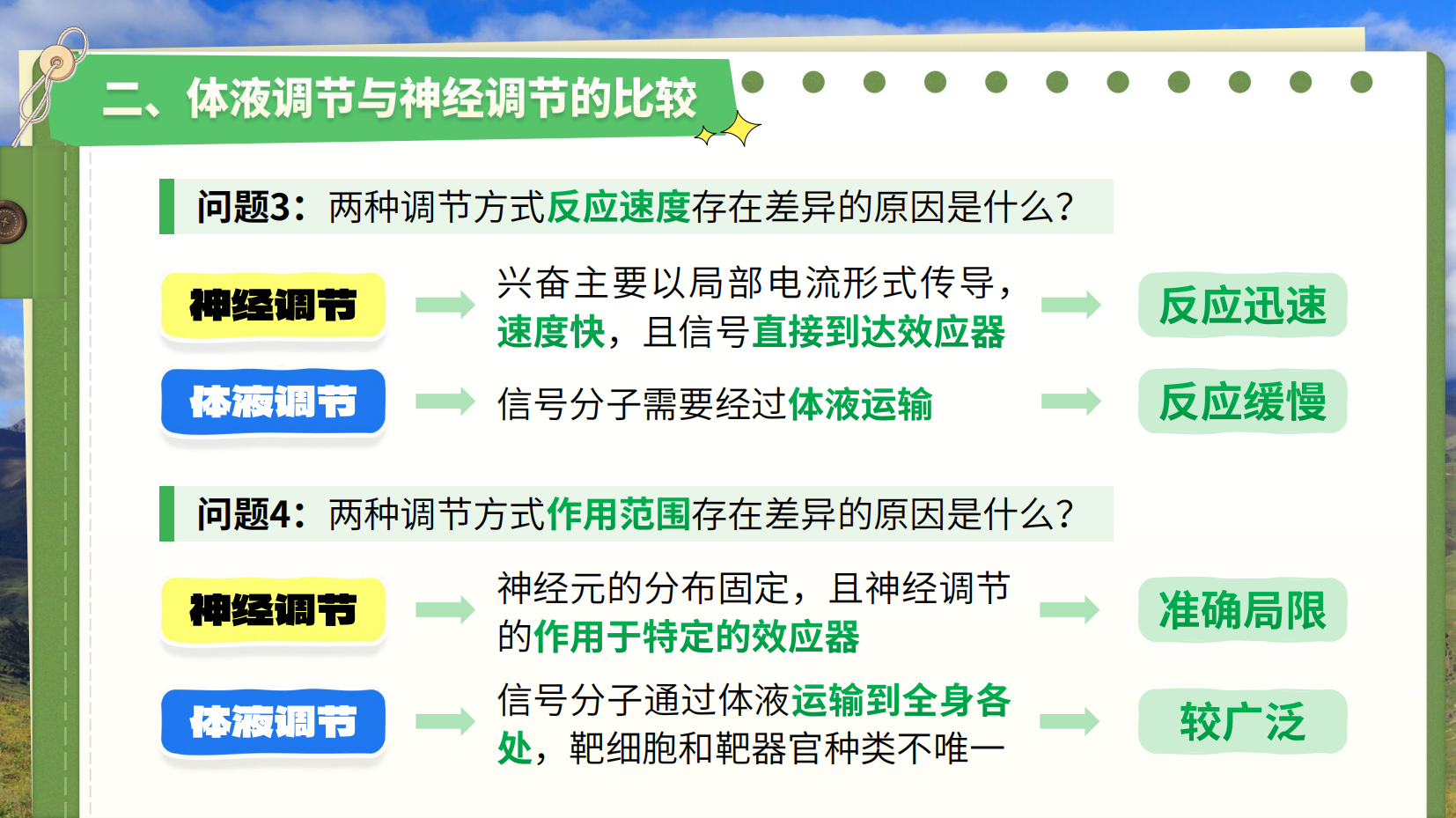 预览图 9