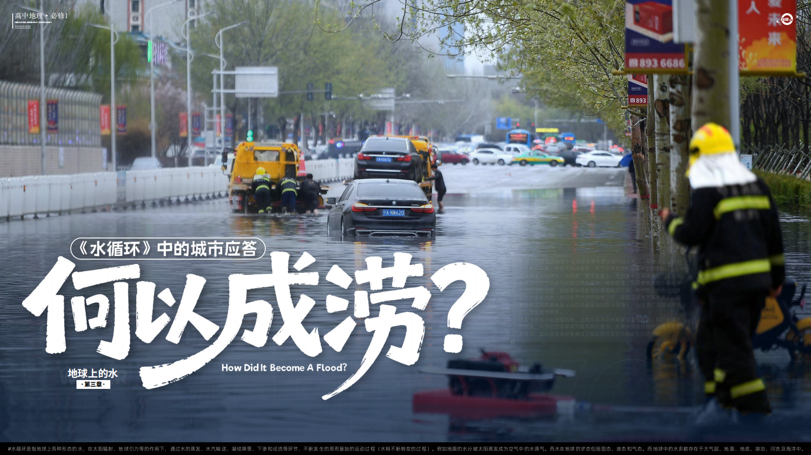 预览图 3