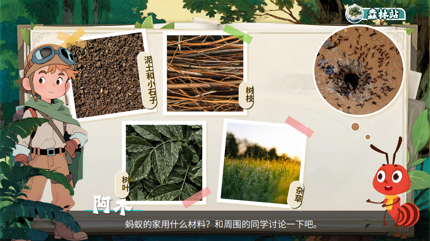 预览图 11