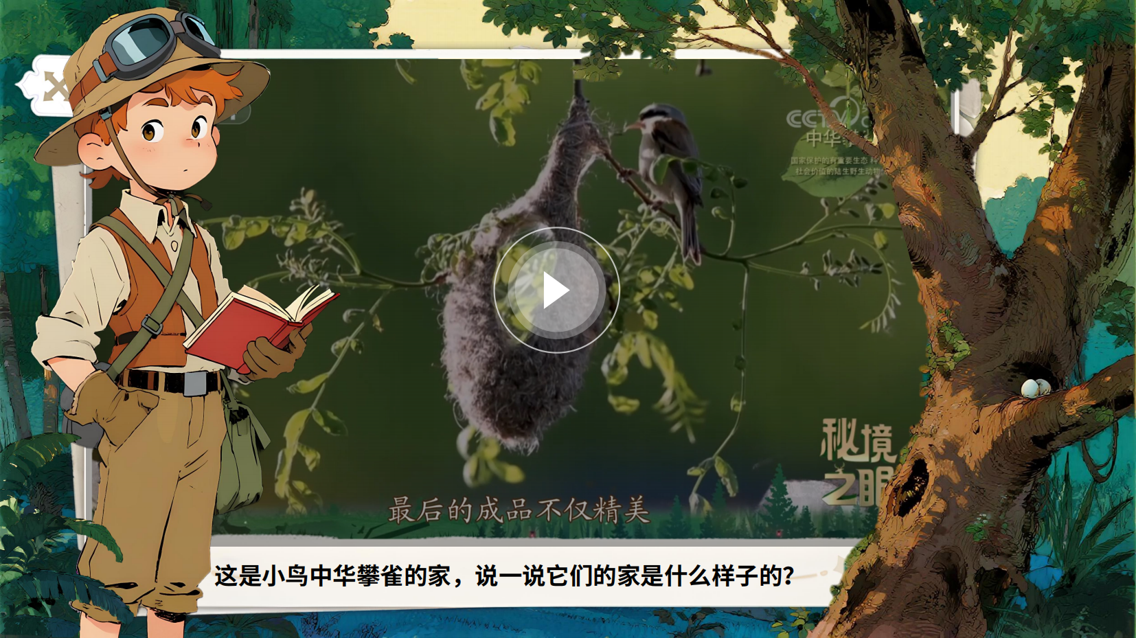 预览图 5
