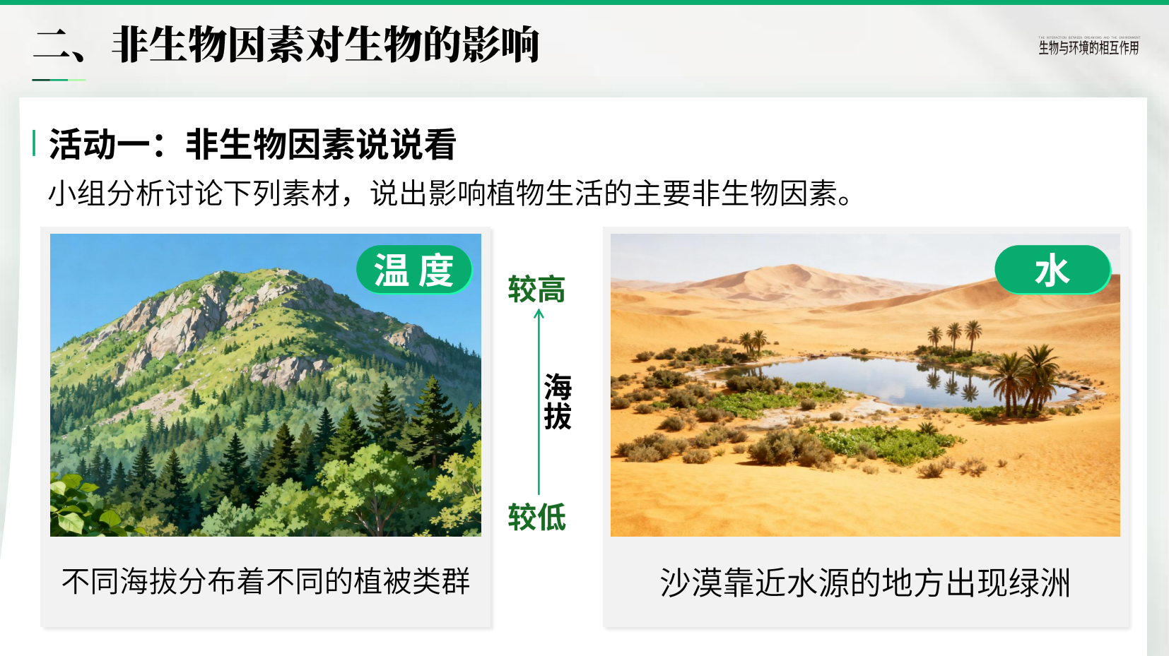 预览图 10