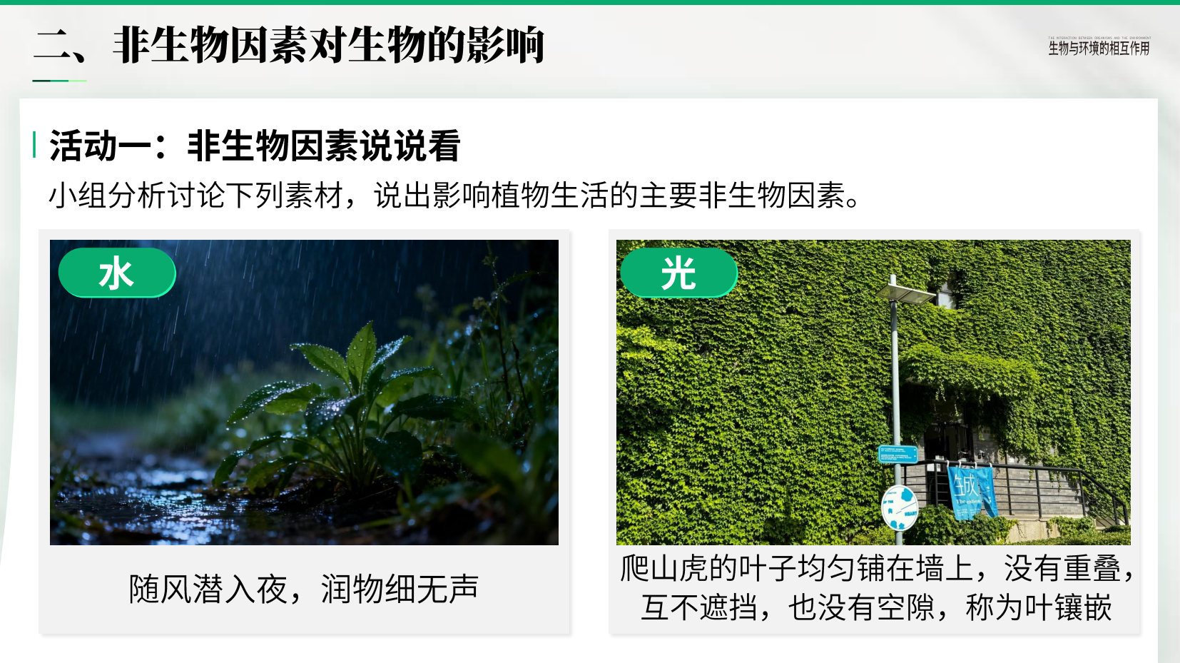 预览图 11