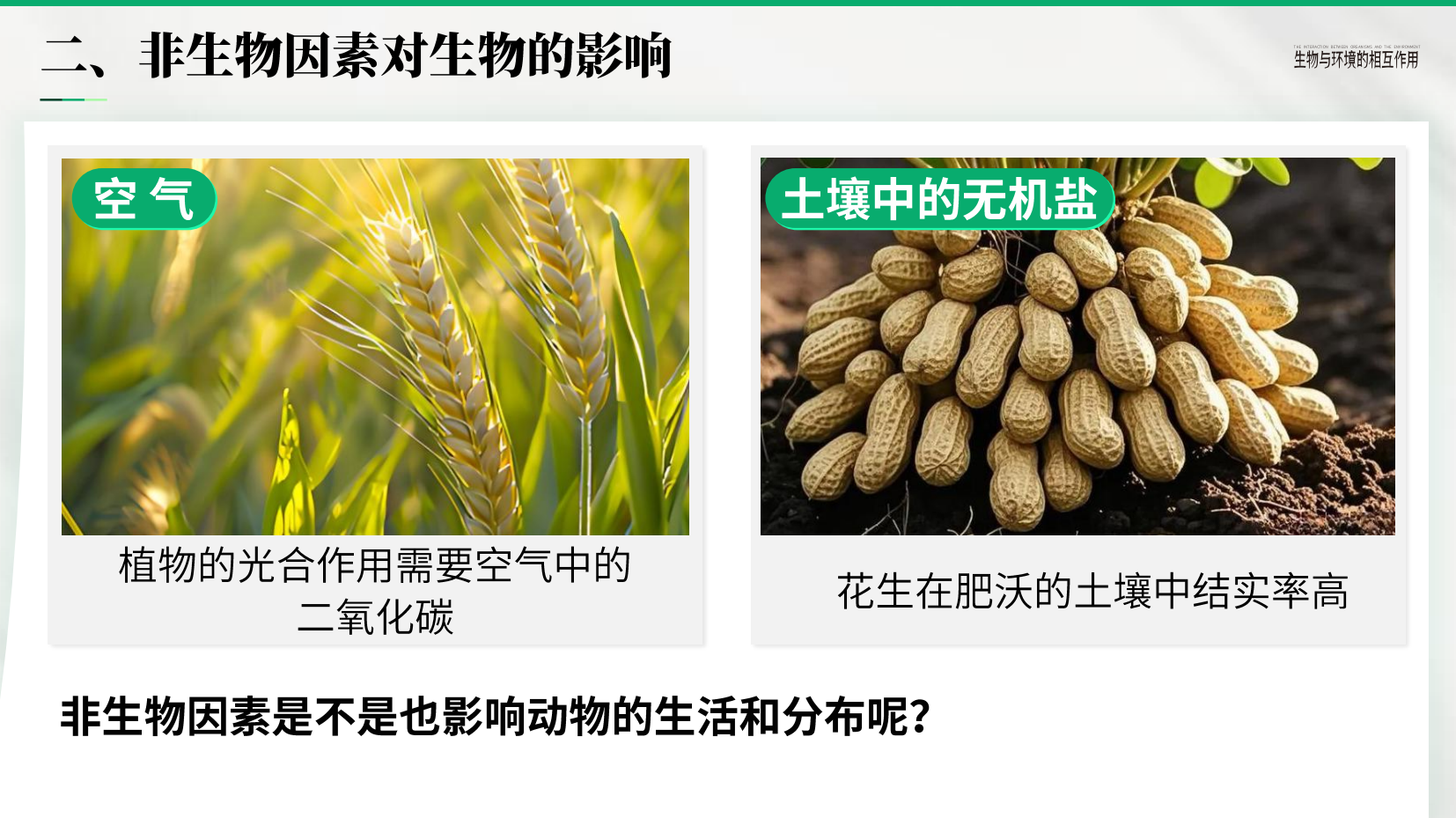 预览图 12