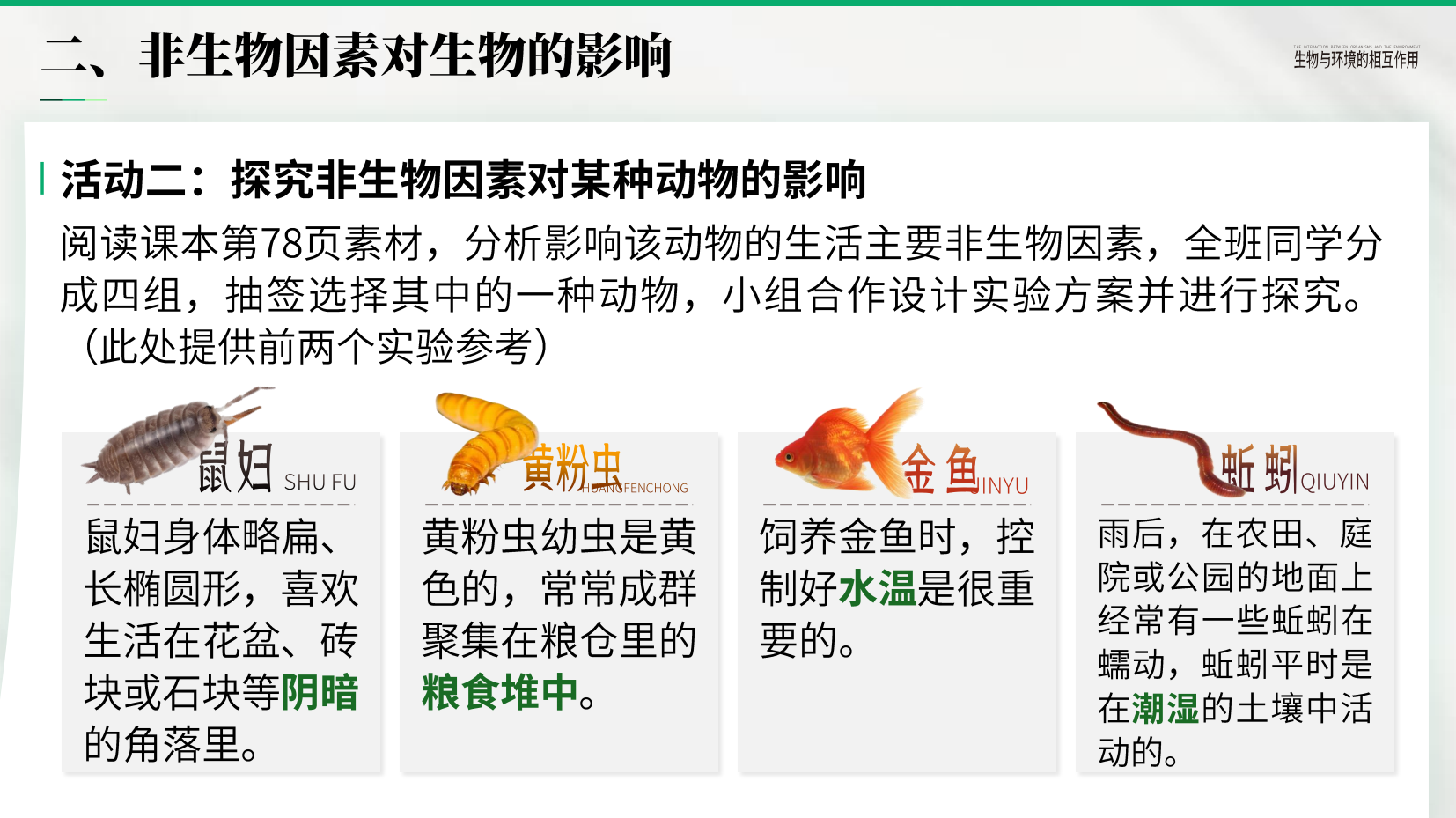 预览图 13