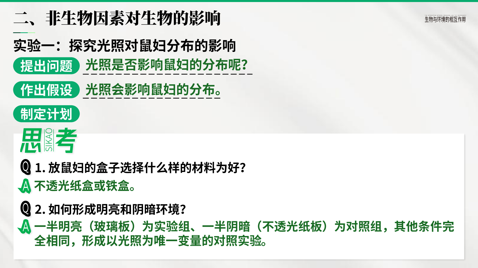 预览图 14