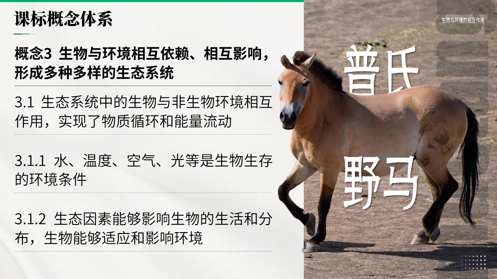 预览图 3
