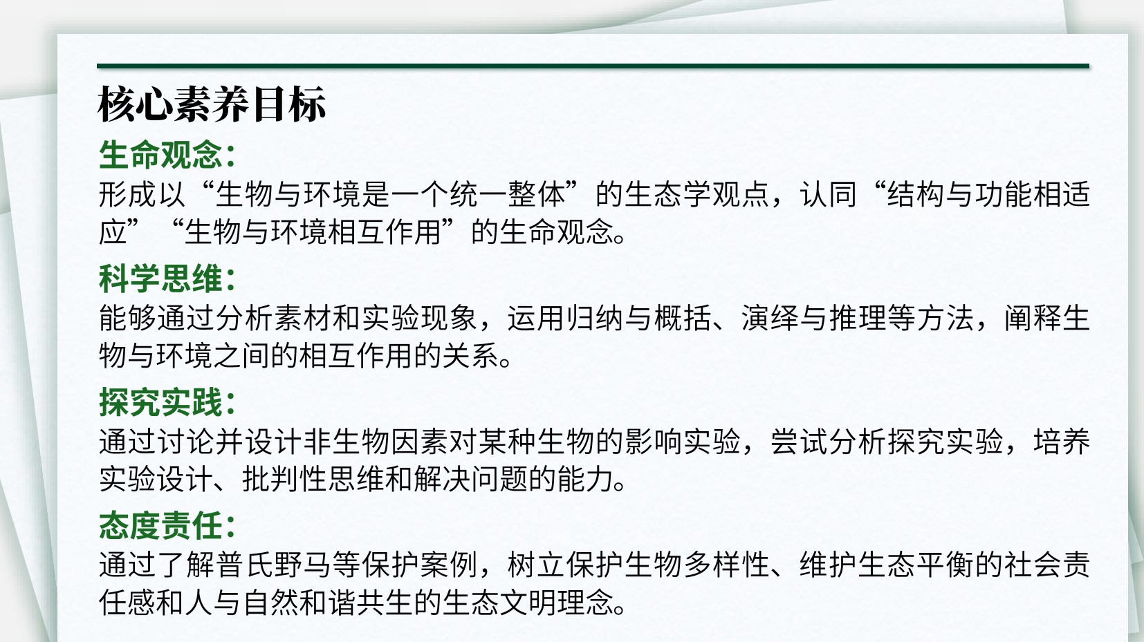 预览图 4