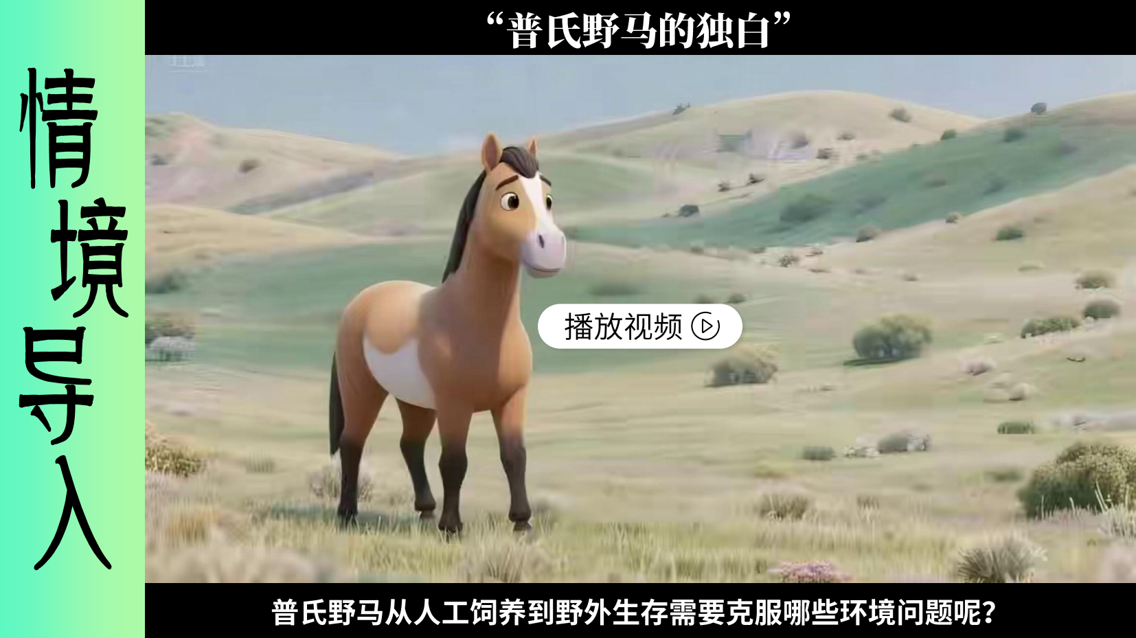 预览图 5