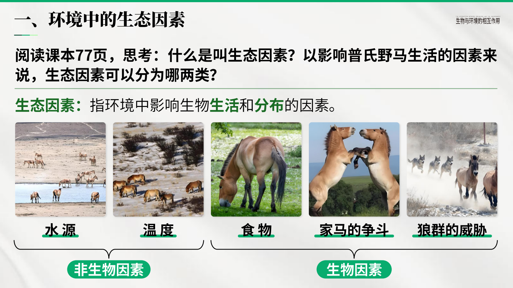 预览图 7