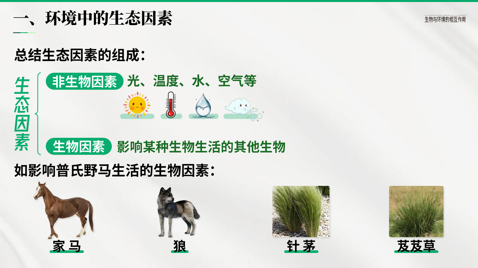 预览图 8