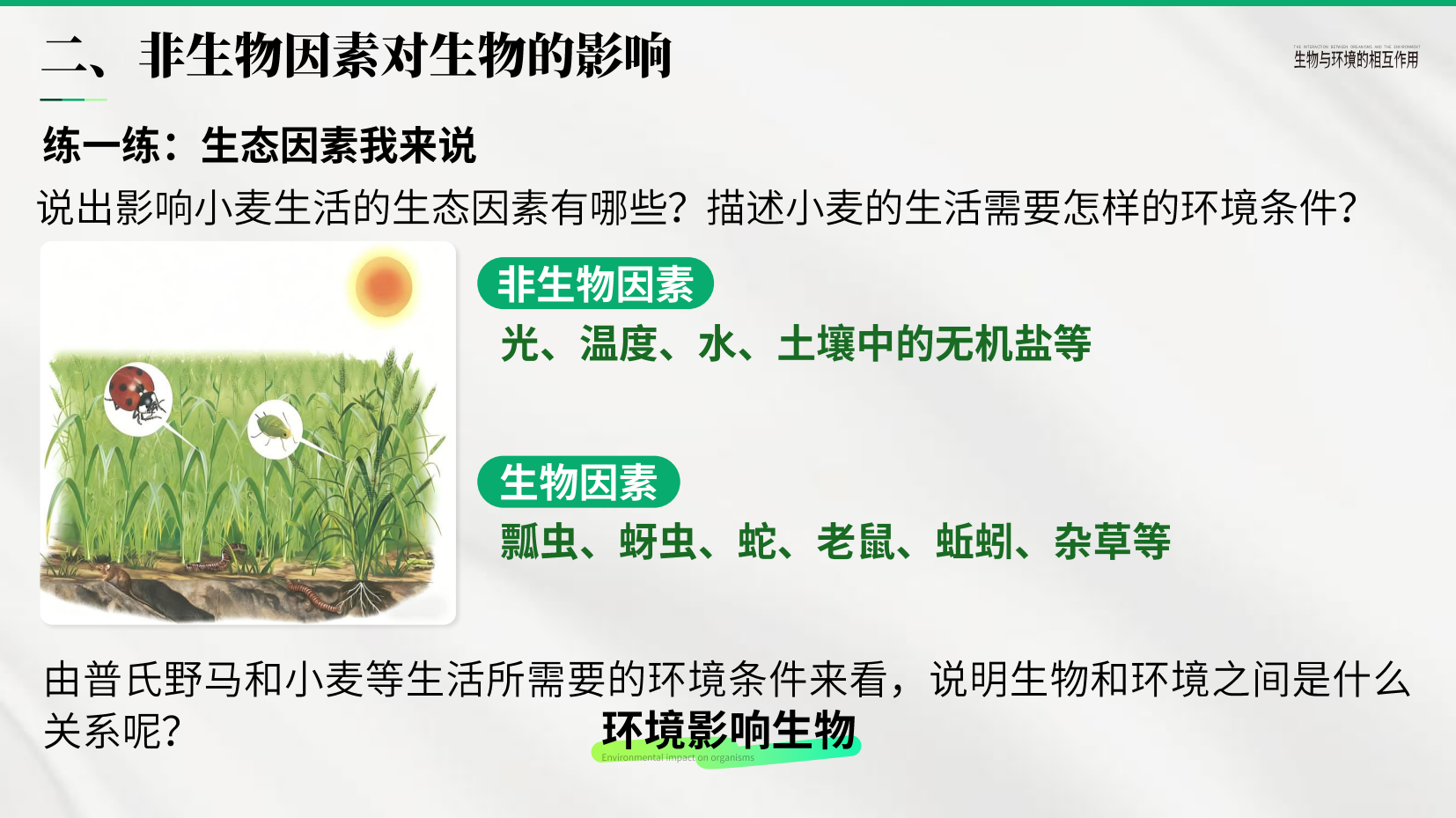 预览图 9