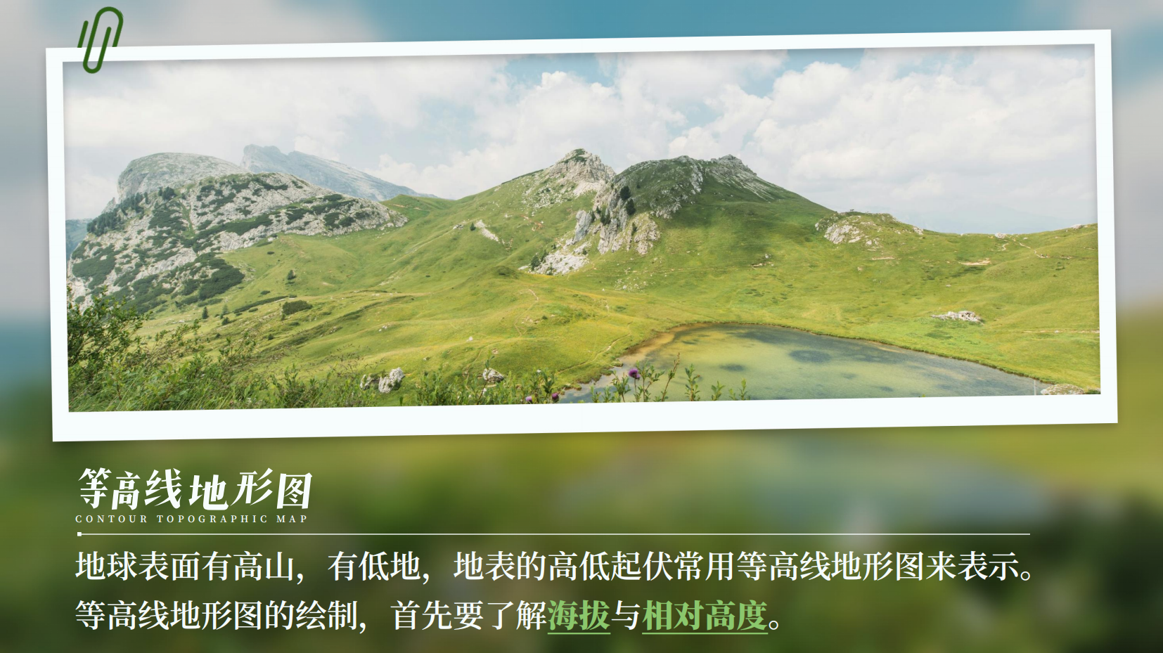 预览图 6