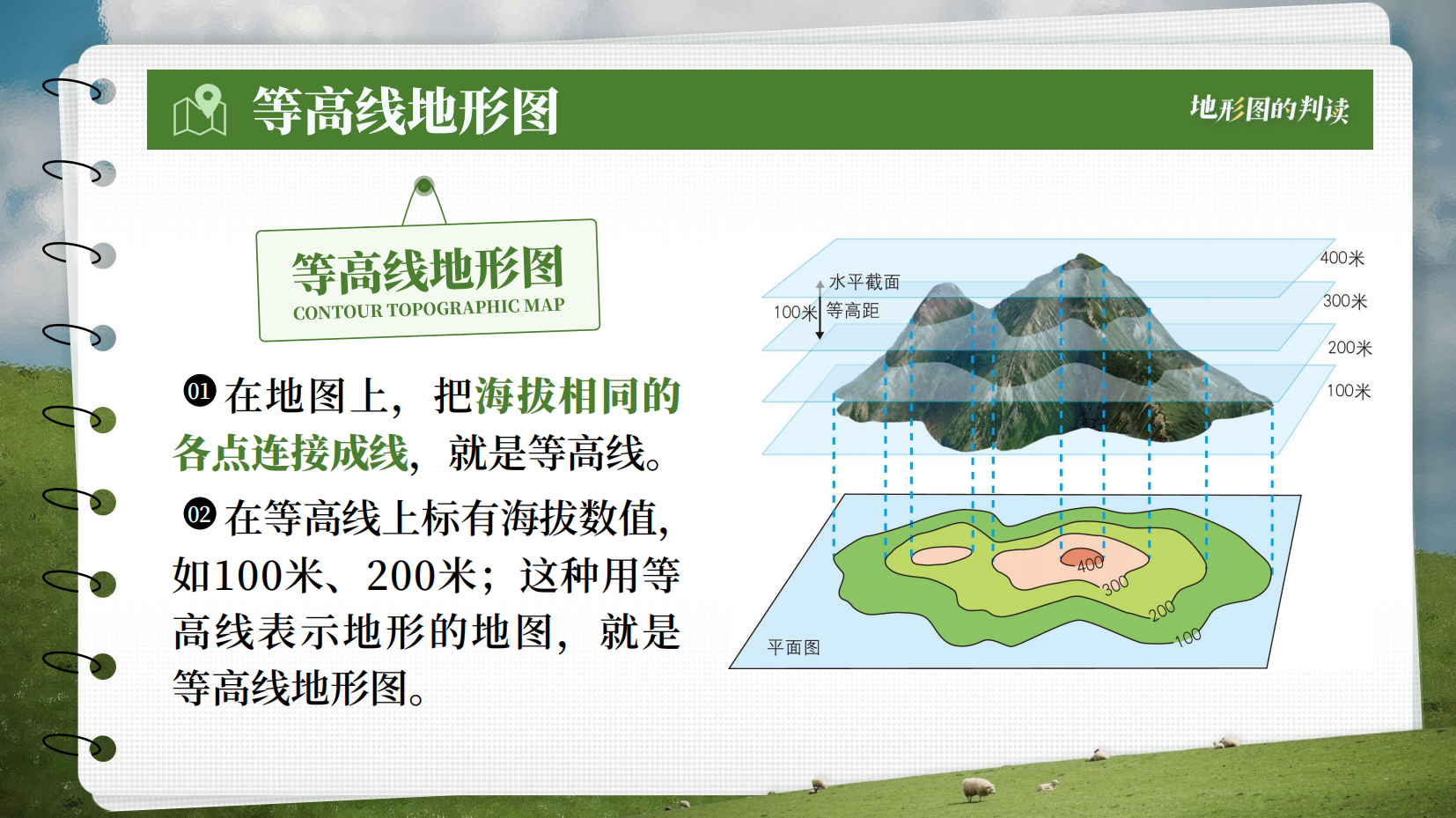 预览图 9