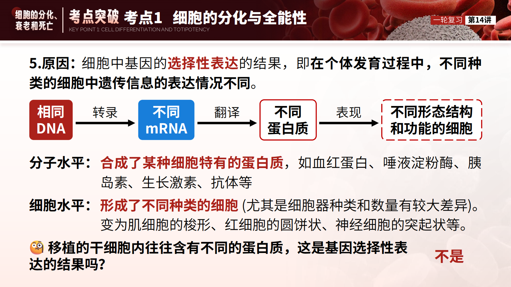 预览图 10