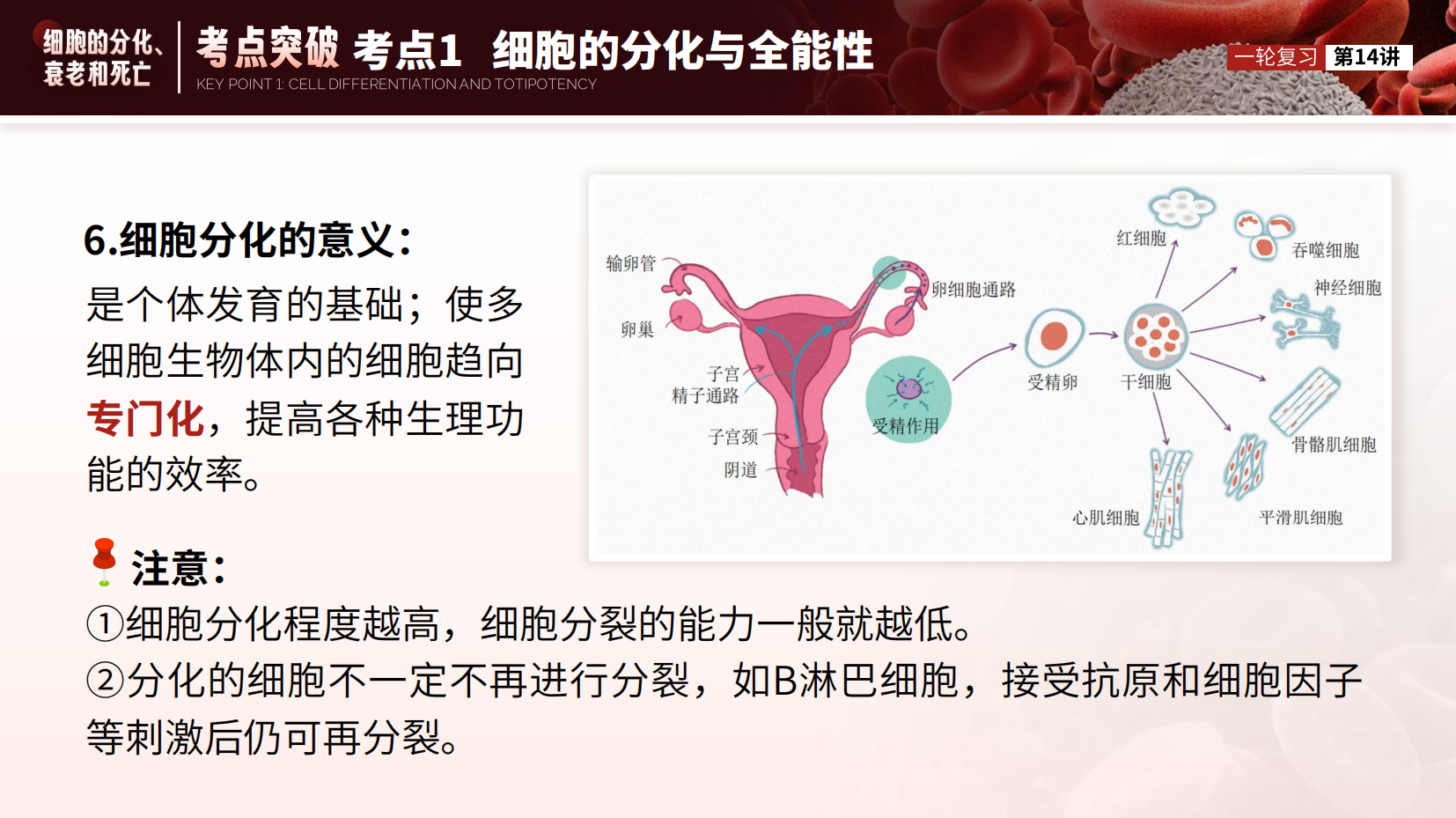 预览图 12