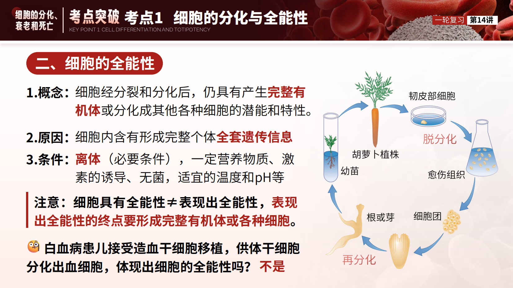 预览图 15