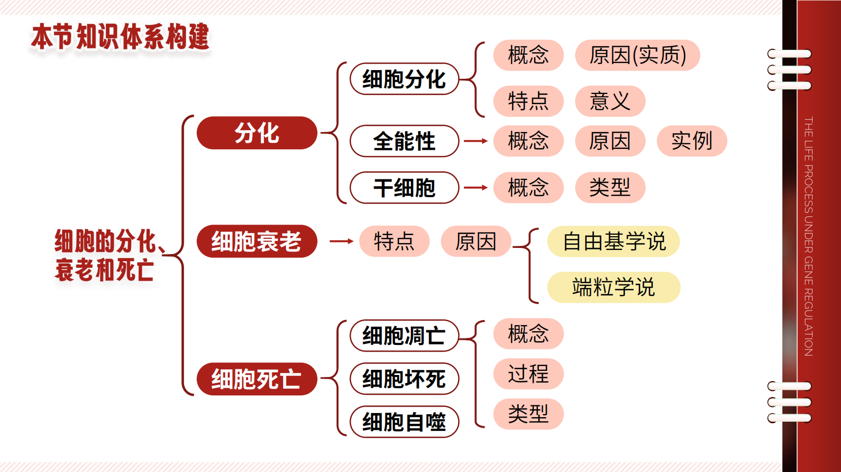 预览图 6