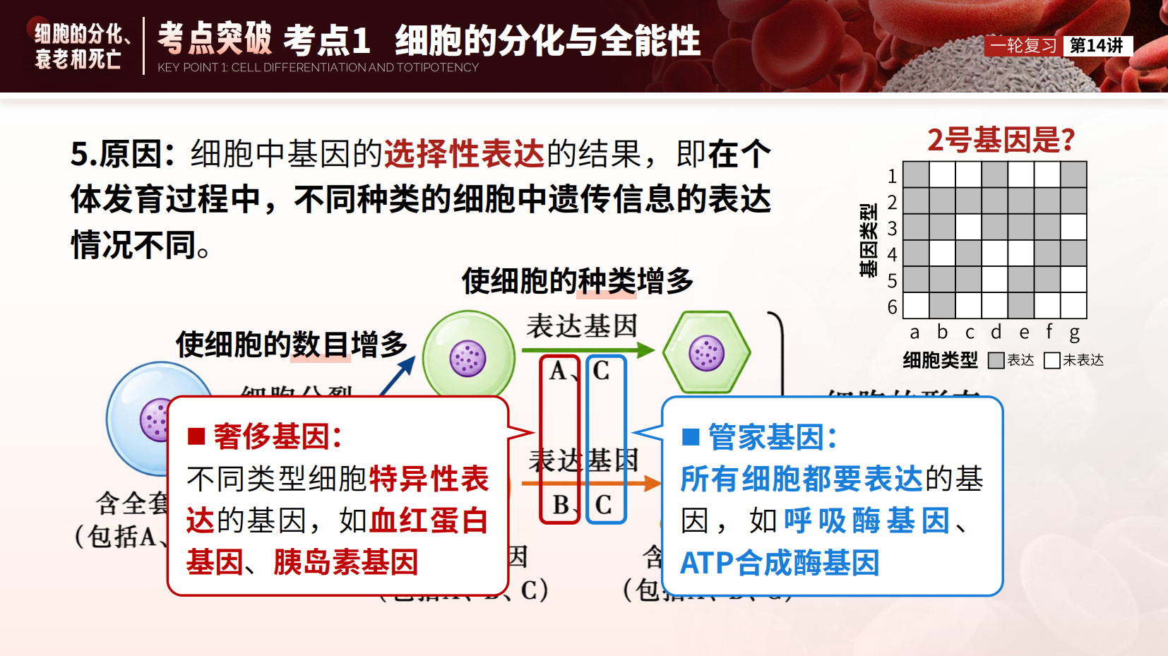 预览图 9