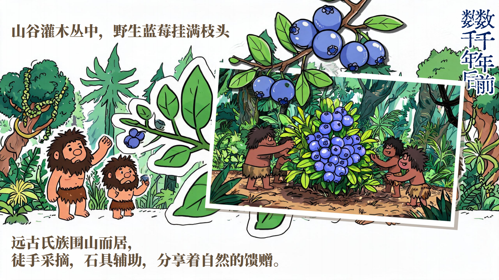 预览图 1