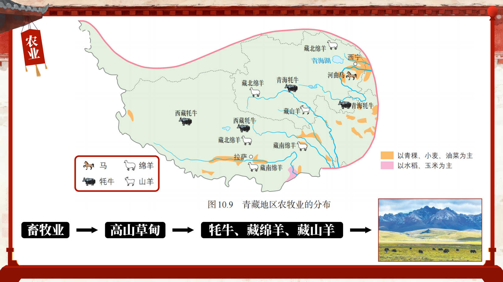 预览图 16