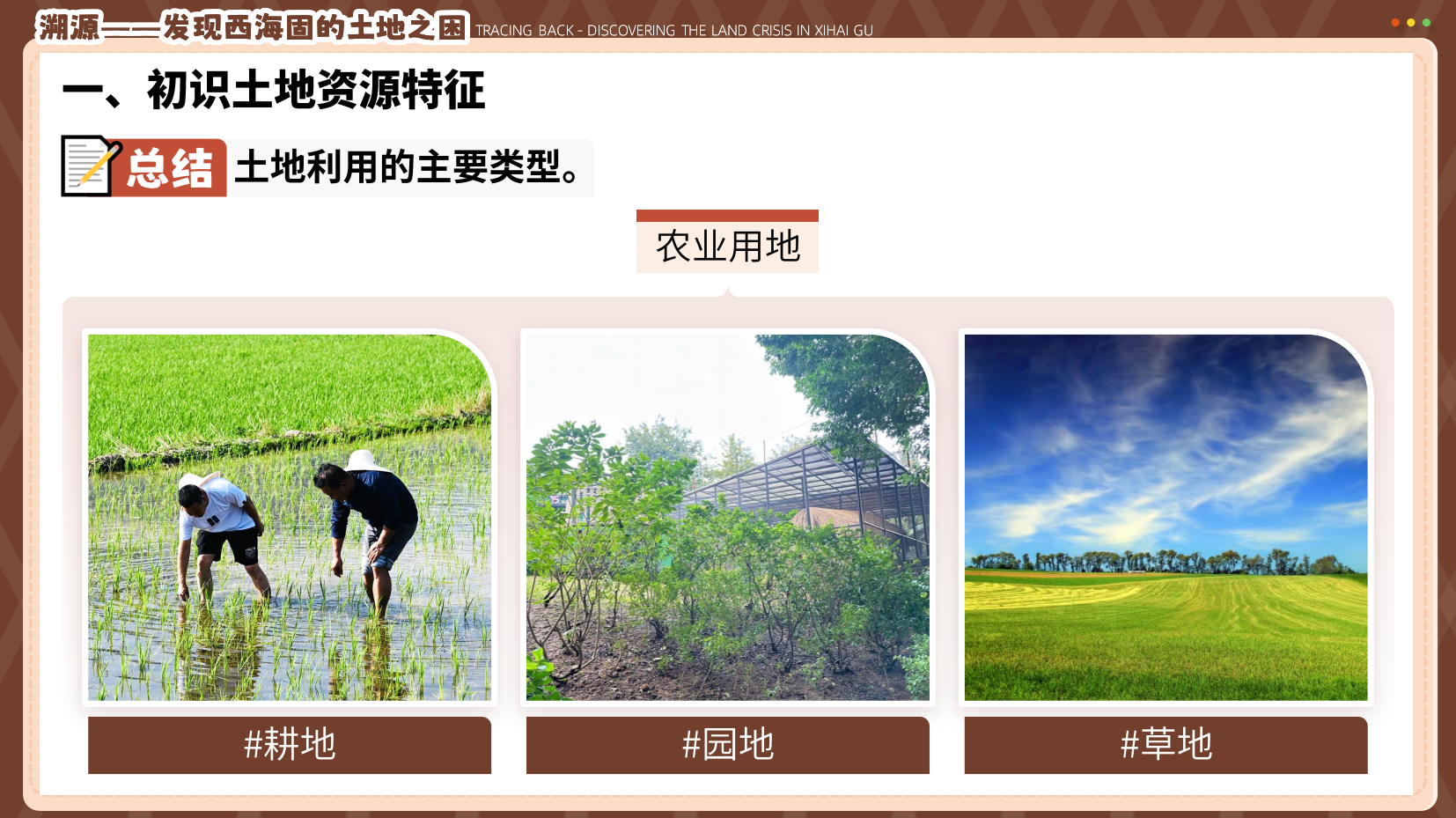 预览图 14