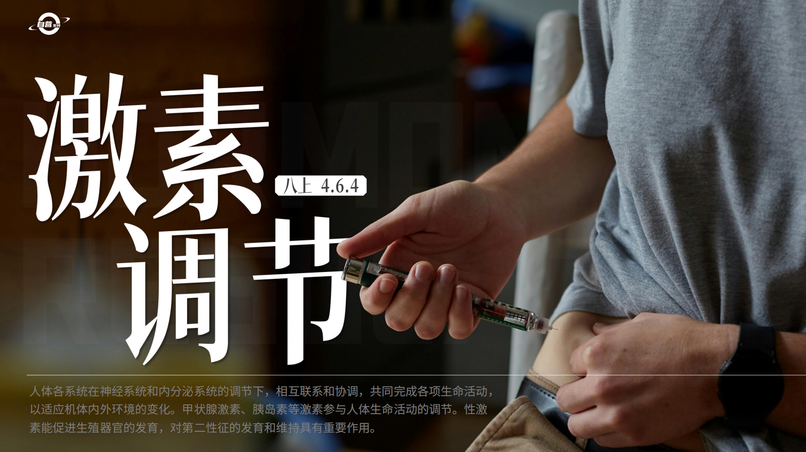 预览图 1