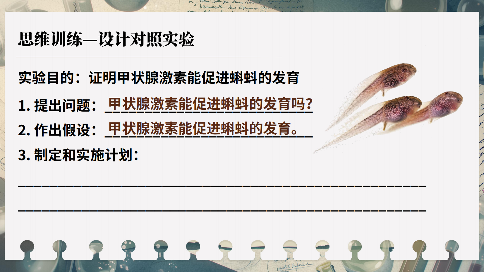 预览图 15
