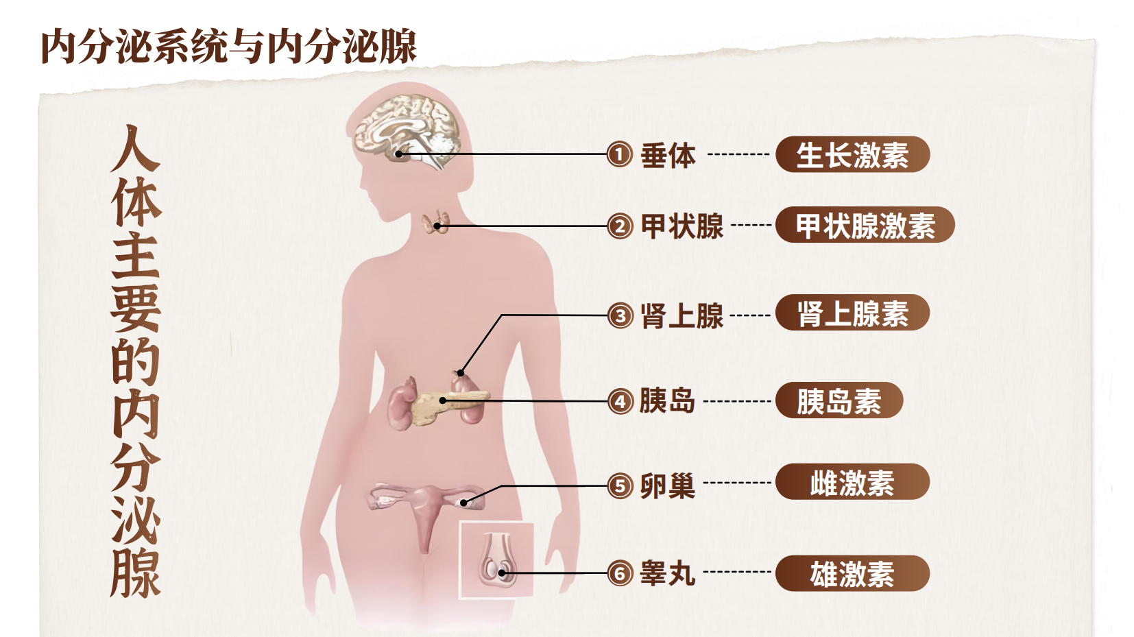 预览图 7