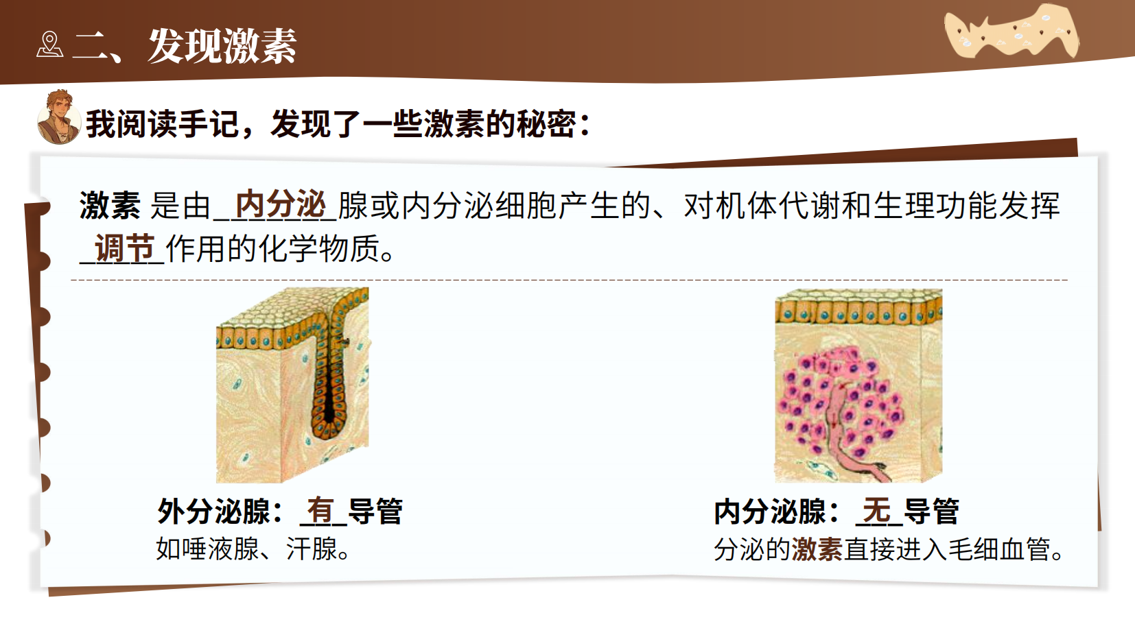 预览图 8