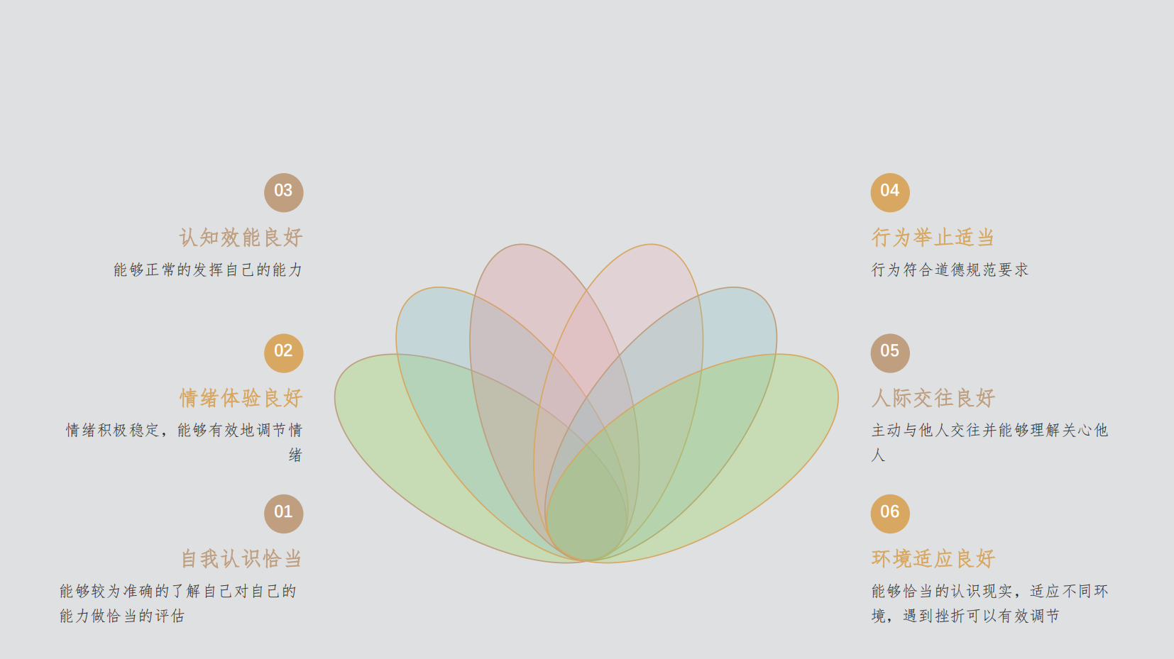 预览图 11