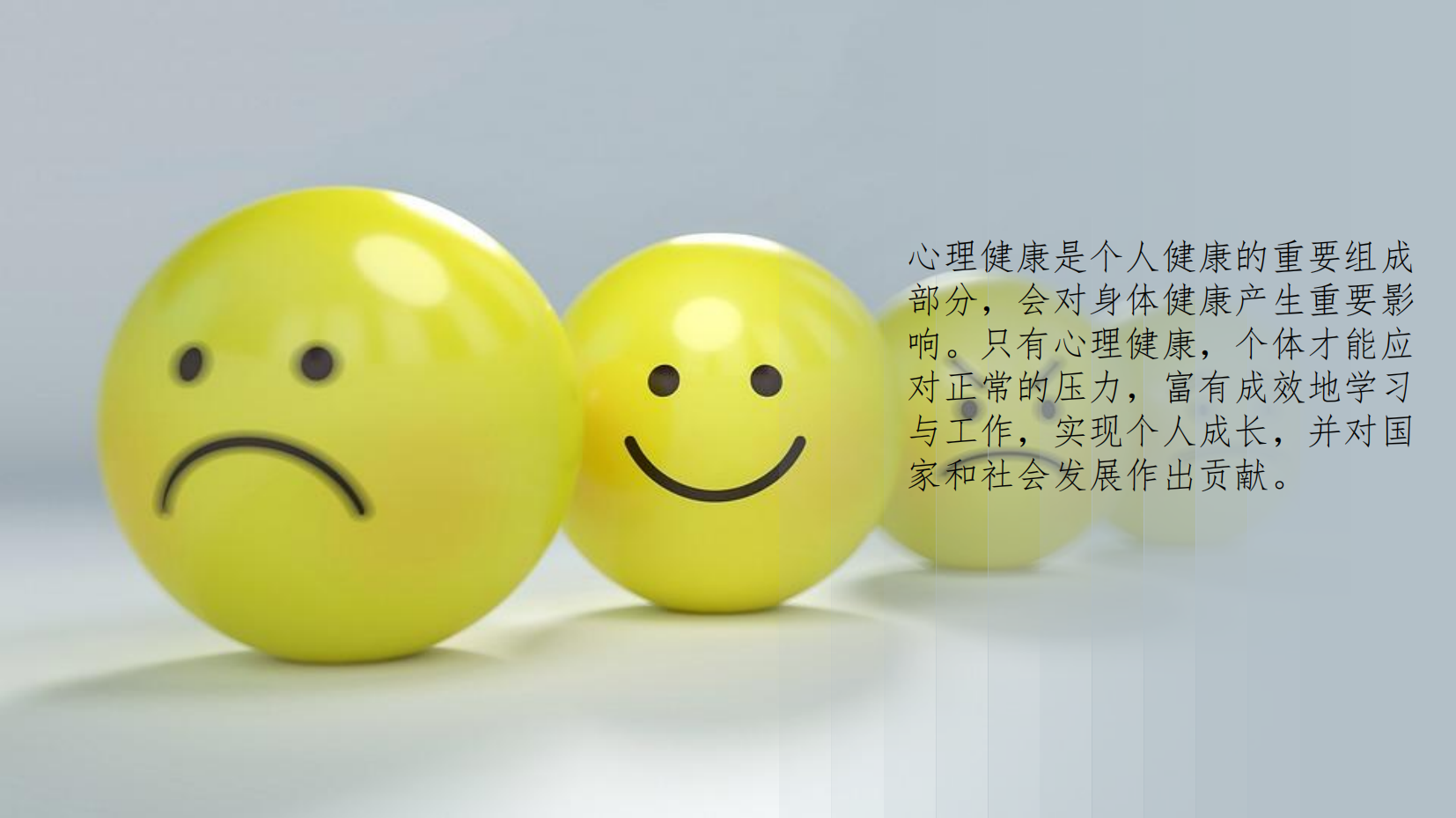 预览图 12