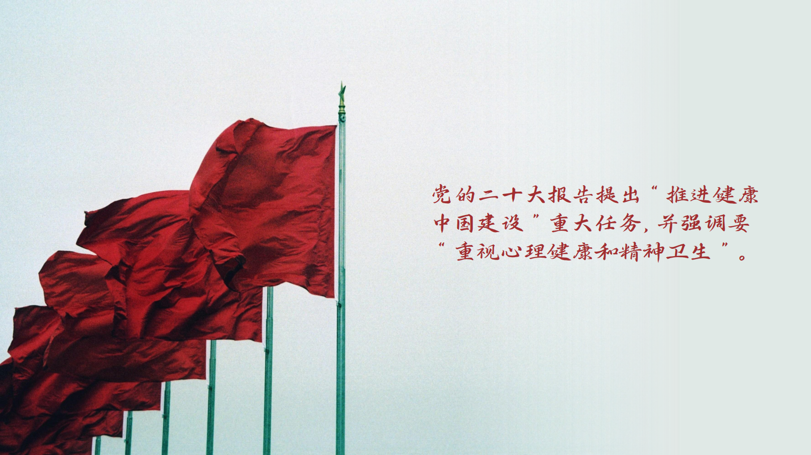 预览图 8