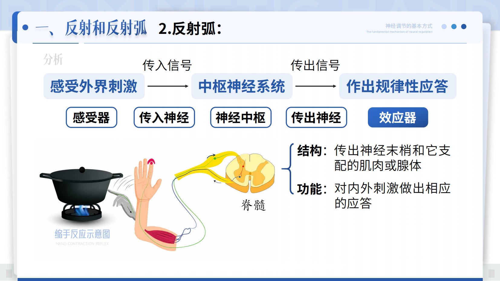 预览图 10