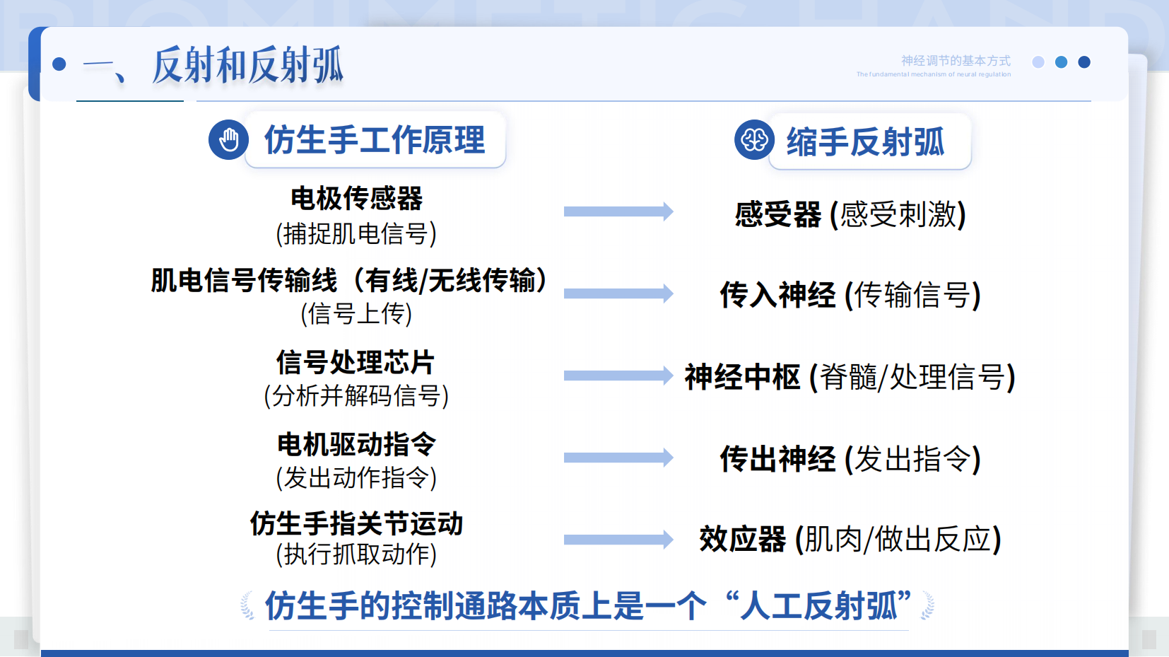 预览图 12