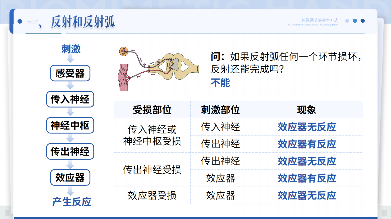 预览图 13