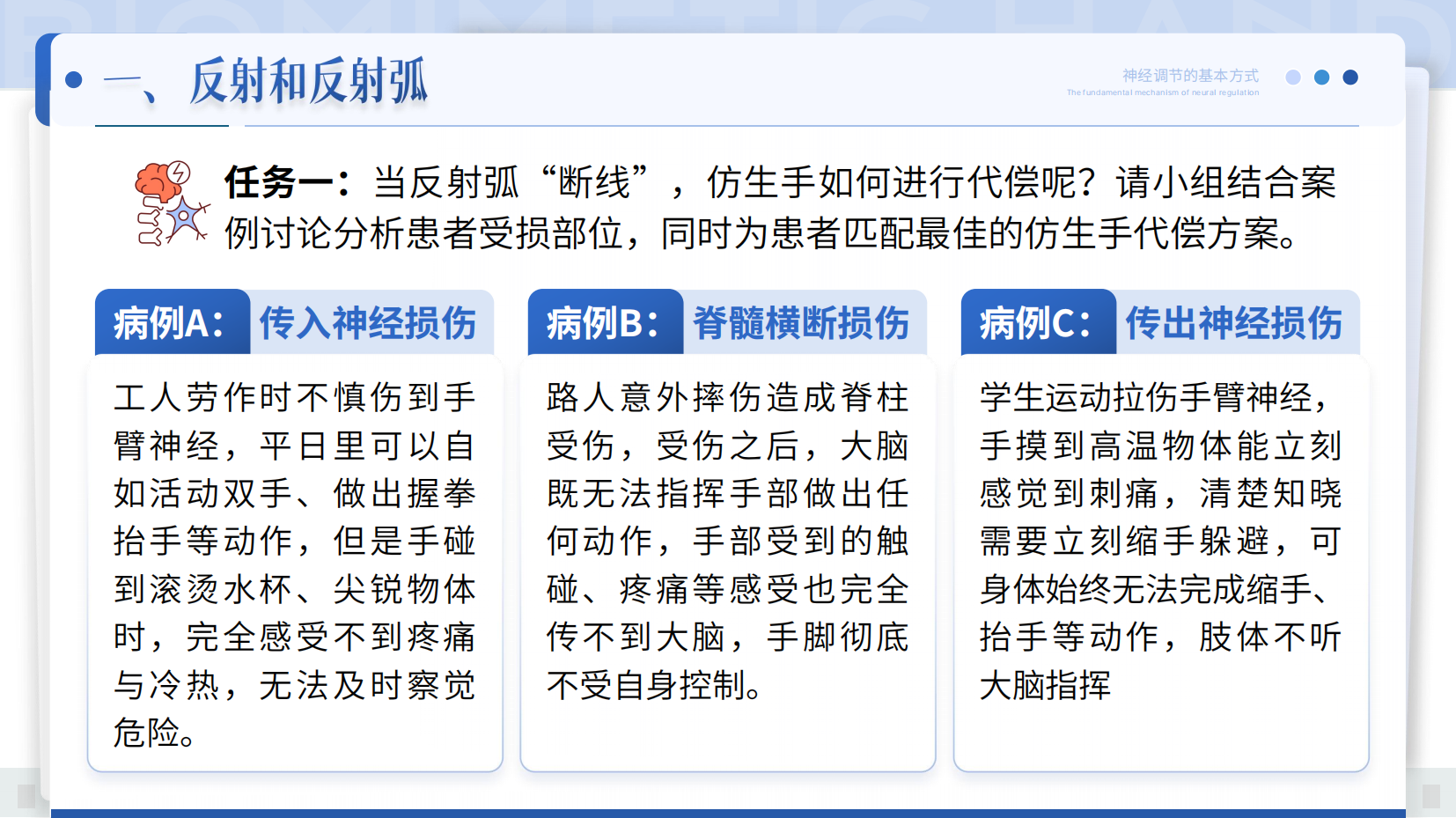 预览图 14